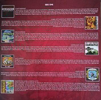 LP ploča The Offspring - Greatest Hits (LP) - 6