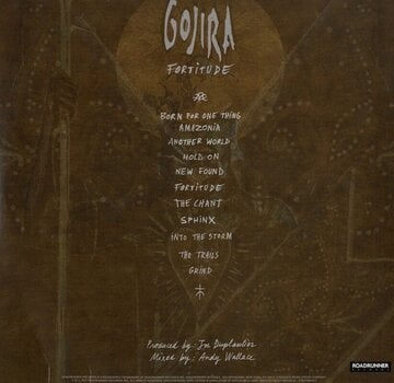 Vinyl Record Gojira - Fortitude (180g) (LP) - 5