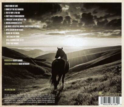 Muzički CD Willie Nelson - Oh What A Beautiful World (CD) - 2