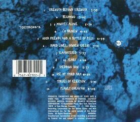Music CD Pantera - Far Beyond Driven (CD) - 2