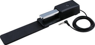Sustain pedala Roland DP-10 Sustain pedala - 1