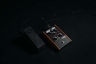 Expression pedala MOOG EP-3 Expression pedala - 2