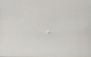 Painting Canvas Kreul Painting Canvas 40 x 120 cm 1 pc (Damaged) - 3