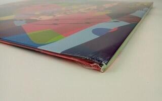 Δίσκος LP Kid Cudi - Insano (Red Coloured) (2 LP) (Αποσυσκευασμένο μόνο) - 2