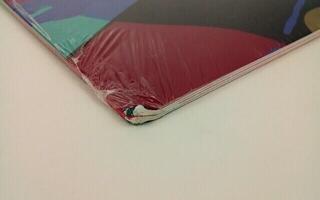 Δίσκος LP Kid Cudi - Insano (Red Coloured) (2 LP) (Αποσυσκευασμένο μόνο) - 5