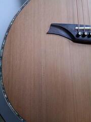 Chitarra Semiacustica Bromo BAR6E Natural Chitarra Semiacustica (Danneggiato) - 1