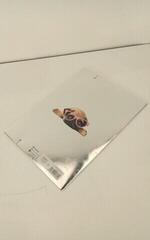 Zestawa artystyczne i kreatywne Paso Polska Tecka na rysunki Pies A4 (Tylko rozpakowane) - 4