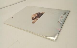 Zestawa artystyczne i kreatywne Paso Polska Tecka na rysunki Pies A4 (Tylko rozpakowane) - 4