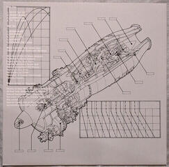 Δίσκος LP Black Sabbath - Never Say Die ! (LP) - 6