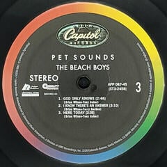 LP deska The Beach Boys - Pet Sounds (200 g) (45 RPM) (2 LP) - 5