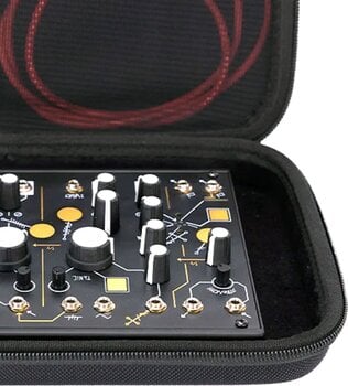 Keyboardtasche Analog Cases  PULSE 0-Coast / 0CTRL / Strega / Werkstatt-01 Case Keyboardtasche - 5