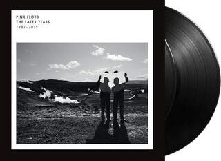 Грамофонна плоча Pink Floyd - The Later Years 1987-2019 (2 LP) - 1