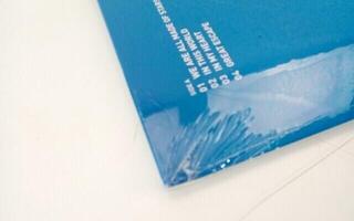 Disc de vinil Moby - 18 (Reissue) (2 LP) (Resigilat) - 5