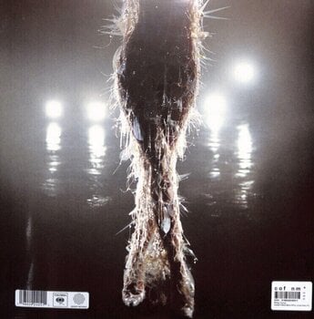 LP deska Miley Cyrus - Something Beautiful (Red Translucent Coloured) (LP) - 3