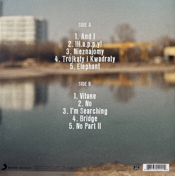 LP ploča Dawid Podsiadło - Comfort And Happiness (LP) - 3