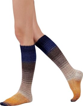 Fios para tricotar Gusto Wool Echoes Fingering 1509 Fios para tricotar - 2