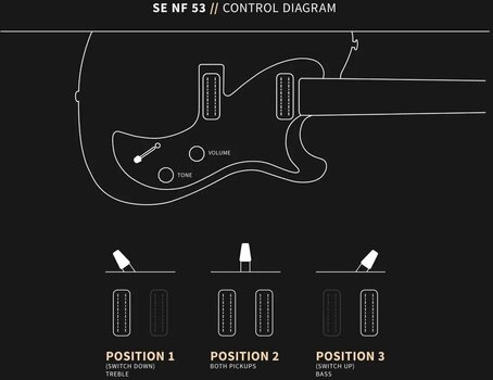 Chitară electrică PRS SE NF 53 Black Doghair Chitară electrică - 8