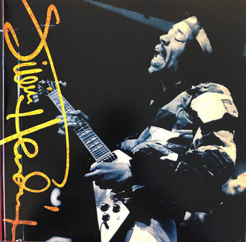 LP platňa Jimi Hendrix - Blues (180 g) (2 LP) - 5