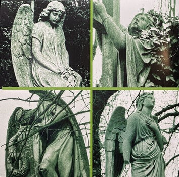 Vinylplade Type O Negative - Bloody Kisses: Suspended In Dusk (Green/Black Swirl Coloured) (2 LP) - 11