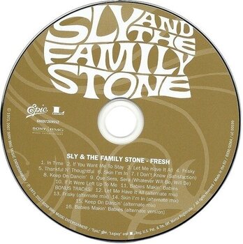 Glasbene CD Sly & The Family Stone - Fresh (CD) - 2