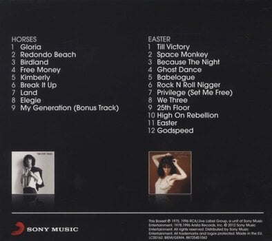 Muzikos kompaktinis diskas Patti Smith Horses/Easter (Reissue) (2 CD) - 2