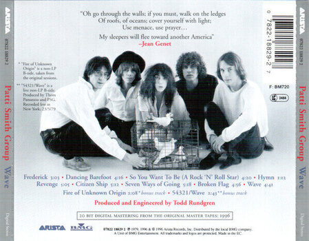 Muzički CD Patti Smith - Wave (CD) - 3