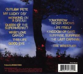 Музичний компакт-диск Bruce Springsteen - Working On A Dream (CD) - 2