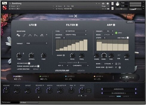Sample/Sound Library Soundiron Bamblong (Digital product) - 4