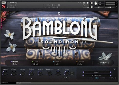 Sample/Sound Library Soundiron Bamblong (Digital product) - 5