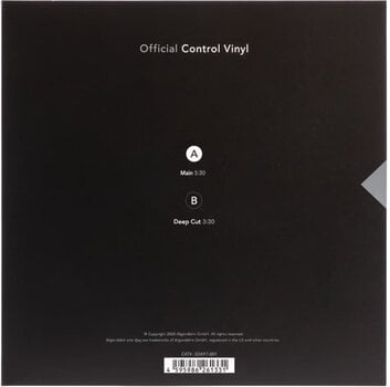 DVS/Timecode Stokyo Algoriddim djay Control Vinyl 7'' DVS/Timecode Black - 3