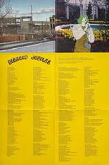 LP ploča Cindy Lee - Diamond Jubilee (3 LP) - 3