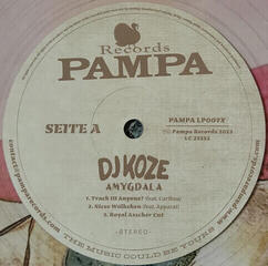 LP ploča DJ Koze - Amygdala (Limited Edition) (Clear Coloured) (2 LP + 7" Single) - 2