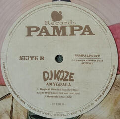 LP ploča DJ Koze - Amygdala (Limited Edition) (Clear Coloured) (2 LP + 7" Single) - 3