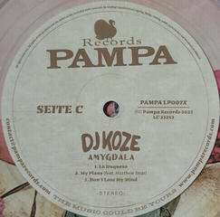 LP ploča DJ Koze - Amygdala (Limited Edition) (Clear Coloured) (2 LP + 7" Single) - 4