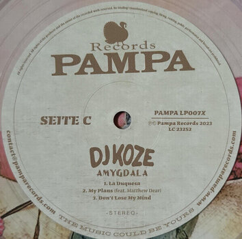LP ploča DJ Koze - Amygdala (Limited Edition) (Clear Coloured) (2 LP + 7" Single) - 5