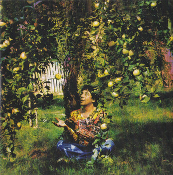 Muzički CD Laurent Voulzy - Saisons, Le Double Best Of (2 CD) - 5