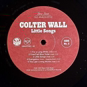 LP ploča Colter Wall - Little Songs (LP) - 5