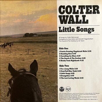LP ploča Colter Wall - Little Songs (LP) - 7