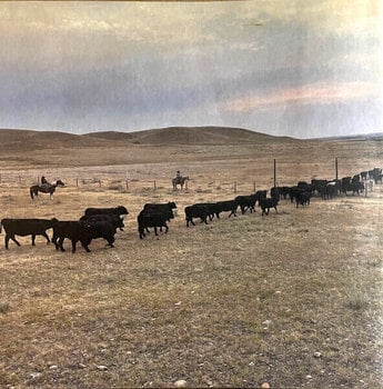 LP ploča Colter Wall - Little Songs (LP) - 10