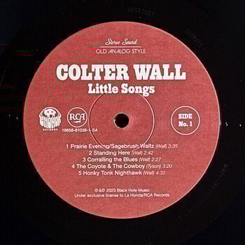 LP ploča Colter Wall - Little Songs (LP) - 4