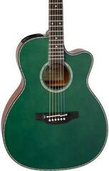 Elektro akustična gitara Takamine LTD2025 Gloss Antique Evergreen Elektro akustična gitara - 3
