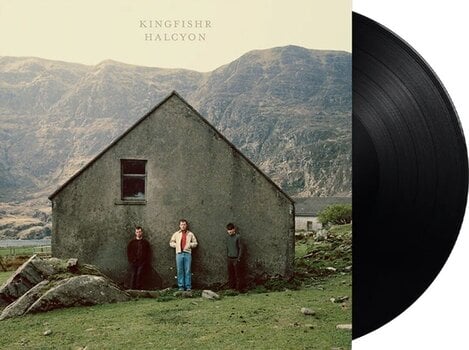 Vinylskiva Kingfishr - Halcyon (LP) - 2