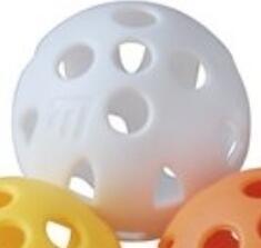 Training balls Masters Golf Airflow XP Practice Balls Pack 12 White Training balls - 2