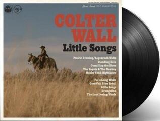 Disc de vinil Colter Wall - Little Songs (LP) - 1