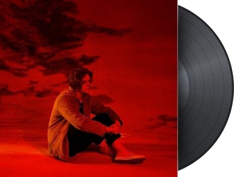 LP ploča Lewis Capaldi - Divinely Uninspired To A Hellish Extent (LP) - 2