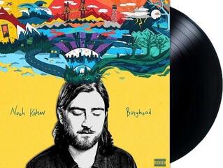 LP deska Noah Kahan - Busyhead (LP) - 1