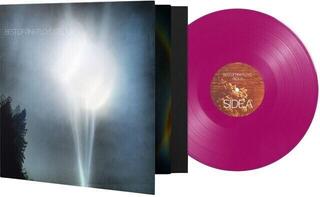 Грамофонна плоча Pink Floyd - Best Of Pink Floyd | Redux (Gatefold Sleeve) (Limited Edition) (Purple Coloured) (LP) - 1