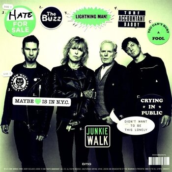 Disco de vinil The Pretenders - Hate For Sale (180 g) (LP) - 3