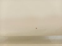 Pianonova La Rambla 09 Pianino cyfrowe White