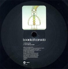 LP ploča Boards of Canada - In a Beautiful Place Out In the Country (12" Single) - 3